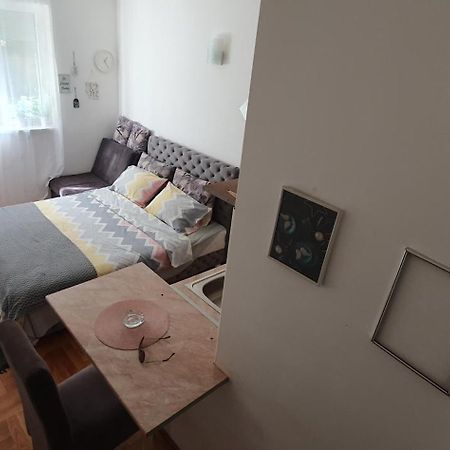 Studio Dunja Vrnjačka Banja Esterno foto