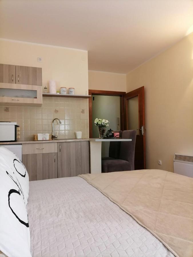 Studio Dunja Vrnjačka Banja Esterno foto