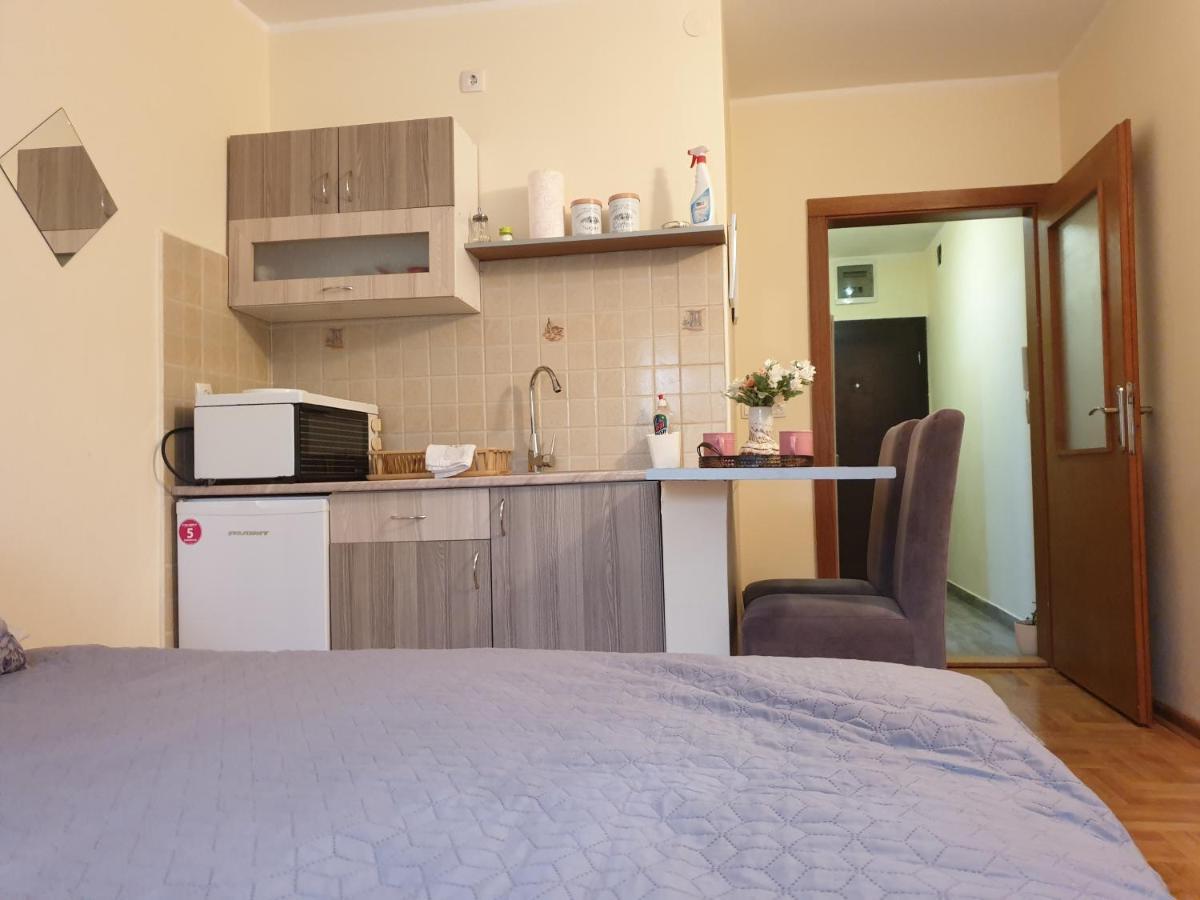 Studio Dunja Vrnjačka Banja Esterno foto