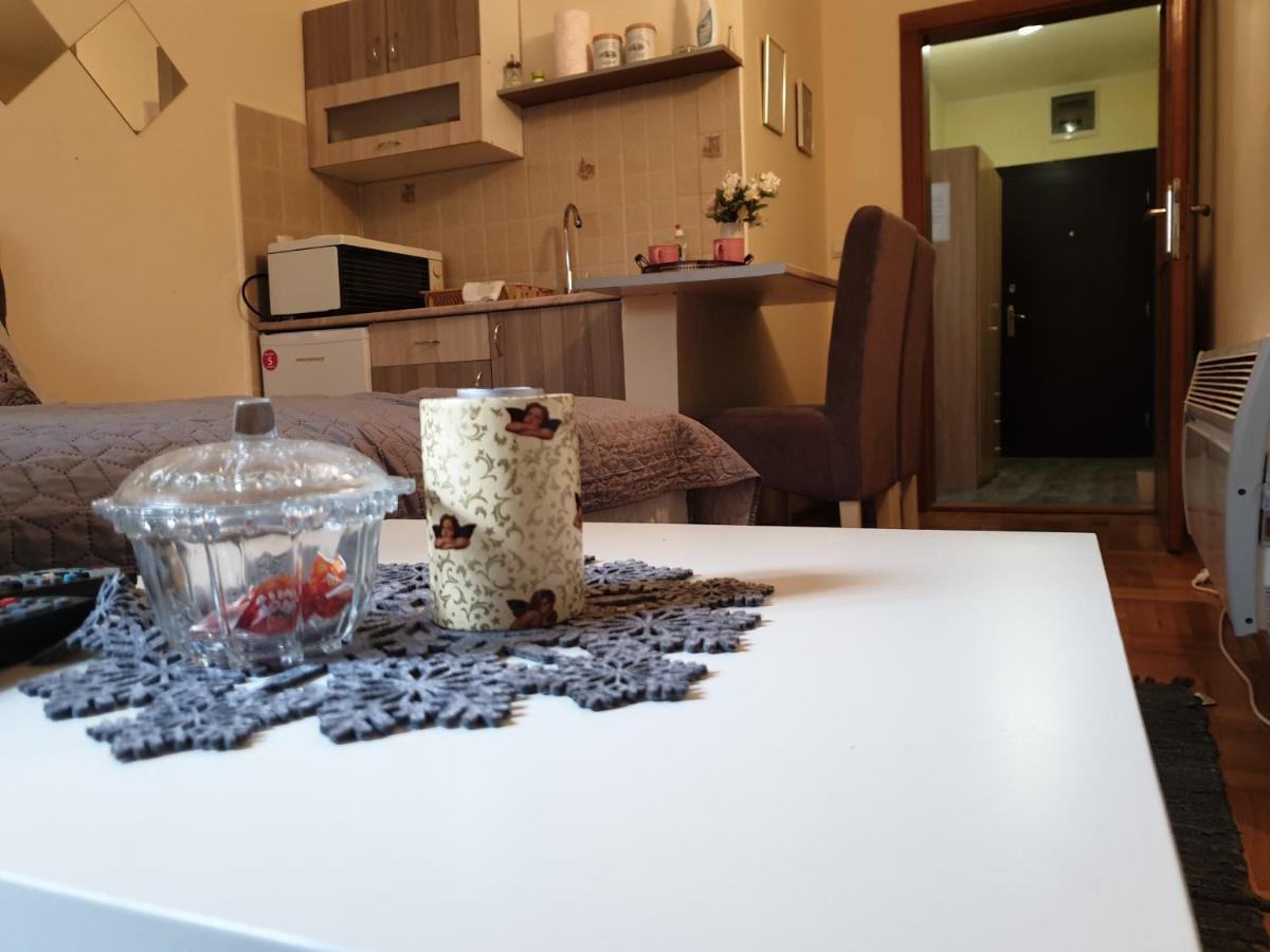 Studio Dunja Vrnjačka Banja Esterno foto