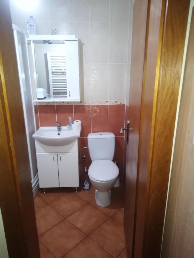Studio Dunja Vrnjačka Banja Esterno foto